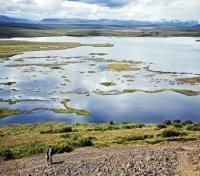 Lake Mývatn 